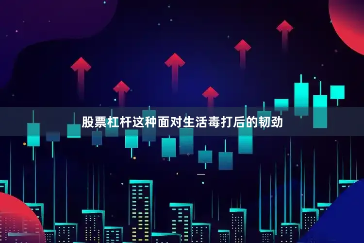 股票杠杆这种面对生活毒打后的韧劲